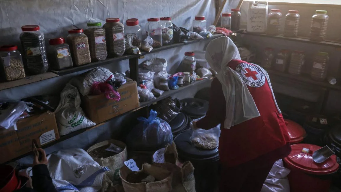 أثمن كنوز غزة: حكاية فريق يحفظ بذور الأرض من الاندثار