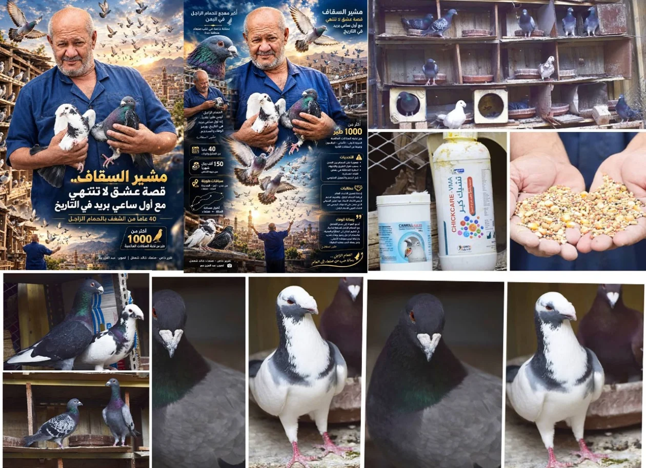 *مملكة الـ 1000 طائر في سماء حدة.. مشير السقاف: يحكي قصة 40 عاماً من الوفاء والعشق لأول ساعي بريد في التاريخ..*طالب وزارة الشباب والرياضة بإعادة أحياء رياضة الحمام الزاجل من جديد.